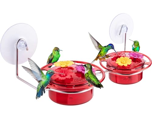 iBorn Window Hummingbird Feeder Hummingbird Feeder with Strong Suction Cup Mini Humming Bird Feeders for Outdoors, Bee-Proof Feeding Ports & Stainless Steel Base, 3oz, 2025 New