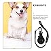 GRIRIW Dog Leash Suction Cup Dog Bathing Harness Pet Grooming Supplies Camping Tie Down