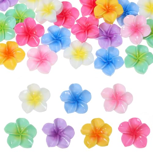 Tupalizy 35PCS Resin Plumeria Flowers Cabochons Flatback Charms Hawaii Floral Decor Frangipani Flower Buttons Beads for Jewelry Making Junk Case Scrapbooking DIY Crafts Summer Party (Mixed Color)