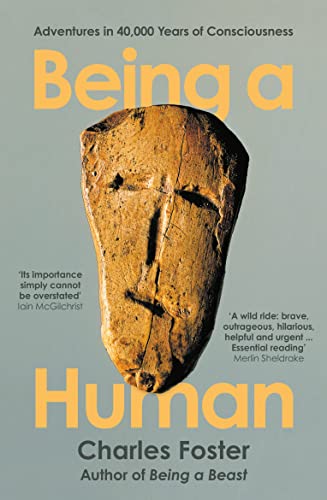 Being a Human: Adventures in 40,000 Years of Consciousness (Serpent's Tail Classics)