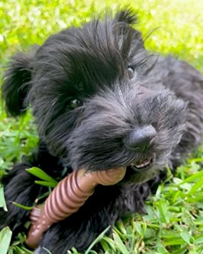 Nylabone Power Chew Textured Bone Chew Toy, Dog Toys for Aggressive Chewers, Flavor Medley, Medium/Wolf (1 Count) Nylabone Power Chew Textured Bone Chew Toy, Dog Toys for Aggressive Chewers, Flavor Medley, Medium/Wolf (1 Count)