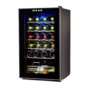BLACK+DECKER 24 Bottle Wine Fridge with LED Display, Compressor Cooling Wine Cooler Refrigerator with Interior Light, Temperature Controlled Wine Bottle Chiller with Fridge Wine Rack