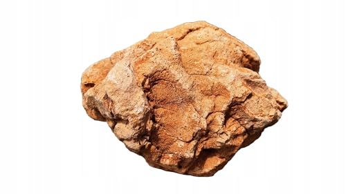 V-PREMIUM SOLUTION - Lavastein - Aquarium Stein - Natursteine - Drachenstein - Dekostein - Gartendeko - Steinholz 15-30 cm