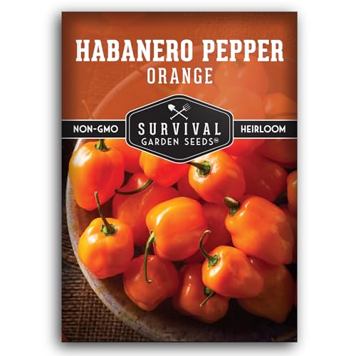 Orange Habanero Seeds for Planting – Fruity Hot Pepper with Fiery Heat, Heirloom Non-GMO Variety for Sauces & Salsas, Productive Plants for Garden or Containers – Survival Garden Seeds (1 Pack)