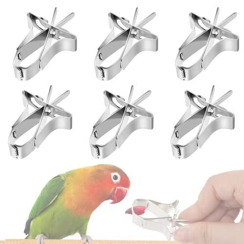 6 Stück Vogelfutterhalter für Haustiere, Papageien, Futterstation, Obst, Gemüse, Clip, Futterstation, Tintenfisch, Gerät, Klemme für Vogel, Hamster, Nymphensittiche, Papageien, kleine Tiere