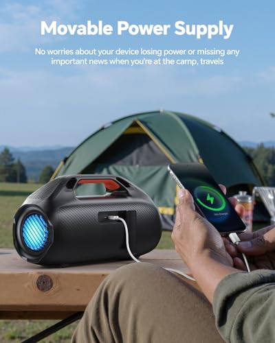 dbsono 100W Bluetooth Speaker F29MAX の商品画像 8