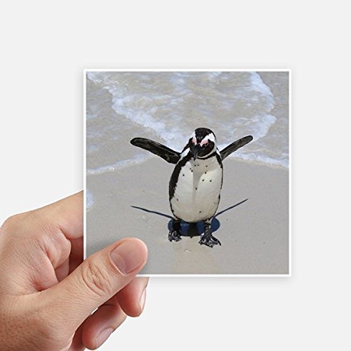 Autocollant pingouin antarctique carré multicolore 10cm lot de 8