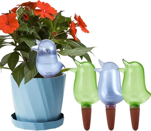 KIROYAL ȎUXpCN 4pbN AUnV ` XpCN AUu (O[&u[)