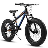 BKNROIHB 20 Inch Fat Tire Bike Adult 7 Speed Mountain Bike, Dual Disc Brakes, High Carbon Steel Frame, Front Suspension, Mountain Buggy, City Commuter City Bike, Fat Tire Bike(Black)
