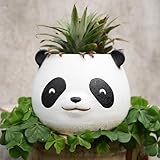 forkai Cute Panda Planter, 7 Inch Resin Plant Pot with Drainage, Smiling Panda Head Flower Pot for Indoor & Outdoor Plants, Animal Garden Decor, Unique Gift for Plant Lovers