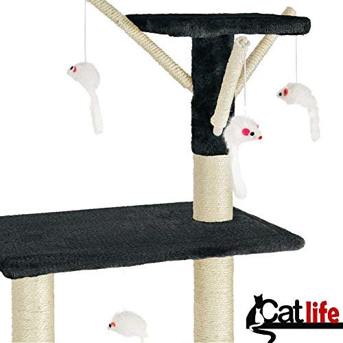 Arbre à chat sisal pour chat d'intérieur manquant d'exercice