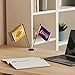 WinCraft Los Angeles Lakers Desk and Table Top Flags