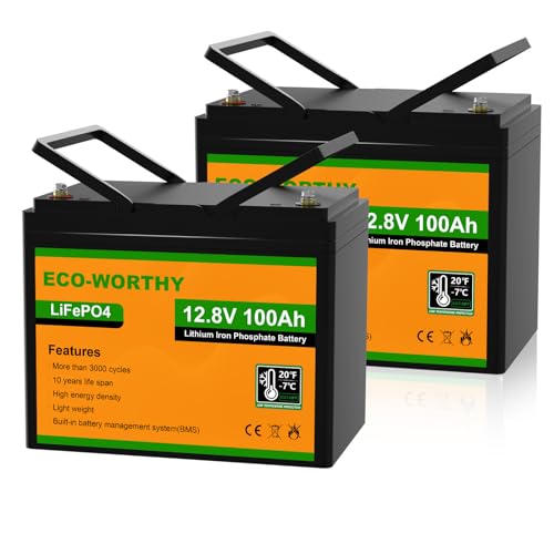Equalizzatore Batteria ECO-WORTHY 24V - Per Sistemi Solari LiFePO4 E Piombo
