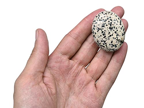 Image of Crystal Heaven Certified Dalmatian Jasper Crystal Palm Pebbles for Anxiety Stress Relief Massage - AAA Grade Original Healing Gemstone Agate Palm Stone for Yoga Meditation Spiritual Reiki Feng Shui