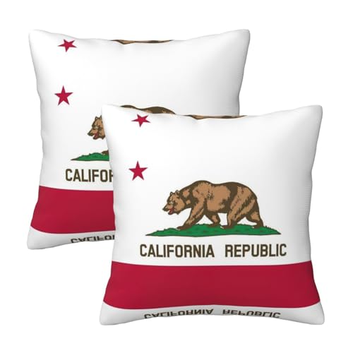 Pidgazdfgv Funda de cojín cuadrada con diseño de bandera del estado de California, para sofá, dormitorio, fundas decorativas de invierno