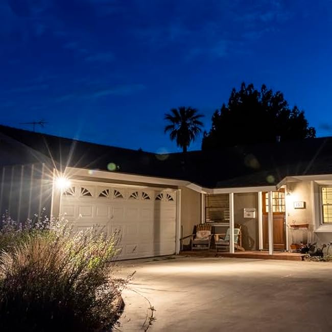 Smart WiFi Dual Head LED Flood Light