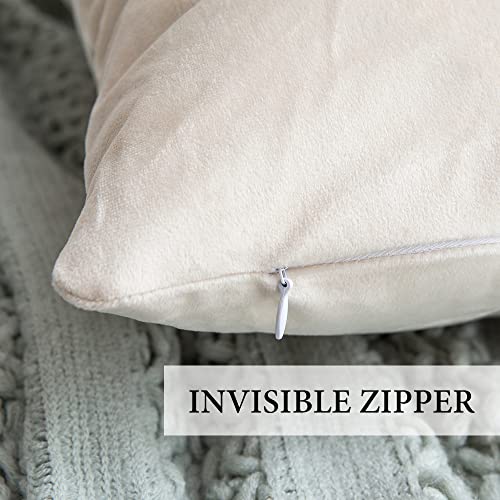 Miulee Pack Of 2, Velvet Soft Solid Decorative Square Throw Pillow Covers Set Cushion Cases Pillowcases For Spring Couch Sofa Bedroom Car 18 X 18 Inch 45 X 45Cm #TOP3