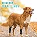 1 Paar Gelenkbandage für Hunde, Hunde Kniebandage, Hunde Gelenkbandage Stützbandage, Hunde Bein Sprunggelenk Wrap, Kniebandage für Hunde, Haustier Schutzausrüstung, Haustier Hunde Handgelenk Bandage