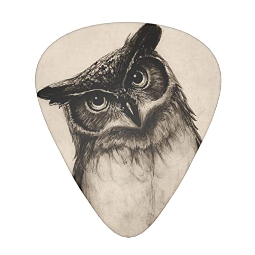 Ensemble de 12 médiators de guitare hibou mignon pour guitare acoustique, guitare électrique, contrebasse, ukulélé - Les Beatles, Paul McCartney, John Lennon, RIngo Starr, George Harrison Ensemble de 12 médiators de guitare hibou mignon pour guitare acoustique, guitare électrique, contrebasse, ukulélé