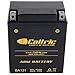 Caltric Agm Battery Compatible with Yamaha Timberwolf 250 Yfb250 2Wd 1992 1993 1994 1995-1998