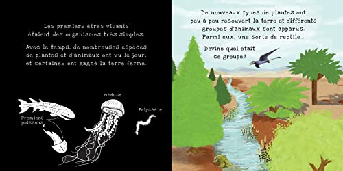 Éclaire-moi sur... les dinosaures [French] 2383220876 Book Cover