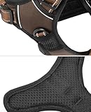 lionto Hundegeschirr gepolstert aus weichem Nylon, Größe S, reflektierendes Anti Zug Geschirr für Hunde mit 2 Ringen & 4 Einstellgurten, Zwei Klickverschlüsse & gummierter Griff am Rücken, braun