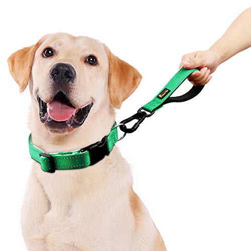 Plutus Pet 10” Short Dog Leash, Reflective Nylon Padded Handle, Strong Traffic Leash With Carabiner Clip, Perfect For Large Or Medium Dogs（10”，Green #TOP1