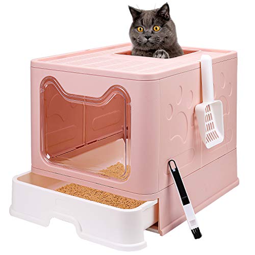 Cute Litter Box The 15 best products compared Wild Explained