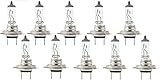Netagon Branded Long Lasting Replacement Bulbs for Cars, Vans, Vehicles - (499 H7 12V 55W | Headlight Bulbs)