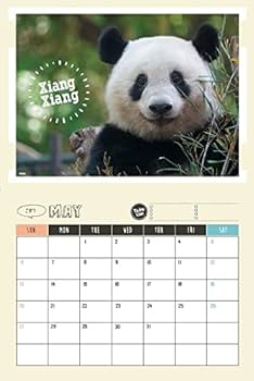 Amazon.co.jp: パンダ自身 3頭め (光文社女性ブックス VOL. 188