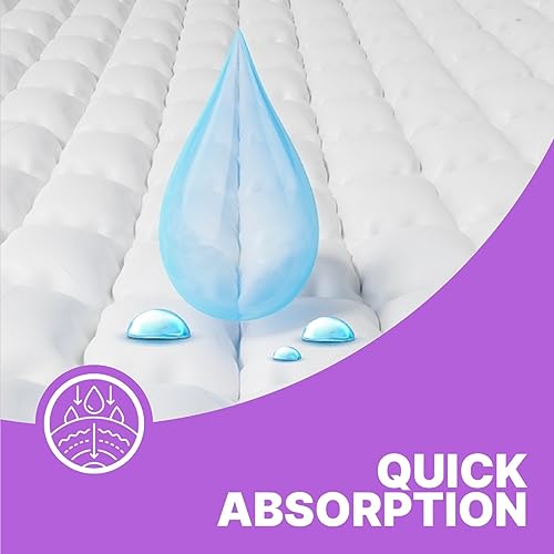 Image of Apollo Essentials Extra Absorb Baby Diaper Pants Large, 82 Count