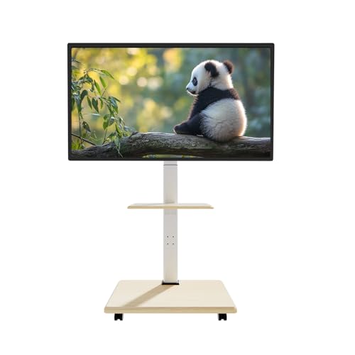 Major in life erX^h Ǌ nC^Cv er tvX^h LX^[t erpX^hǊ| 32~75C`Ή ω׏d40KG \ E]30° [Itؐ ړ  ȃXy[X Зp Ɨp