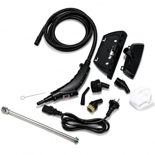 Image of handheld steam cleaner