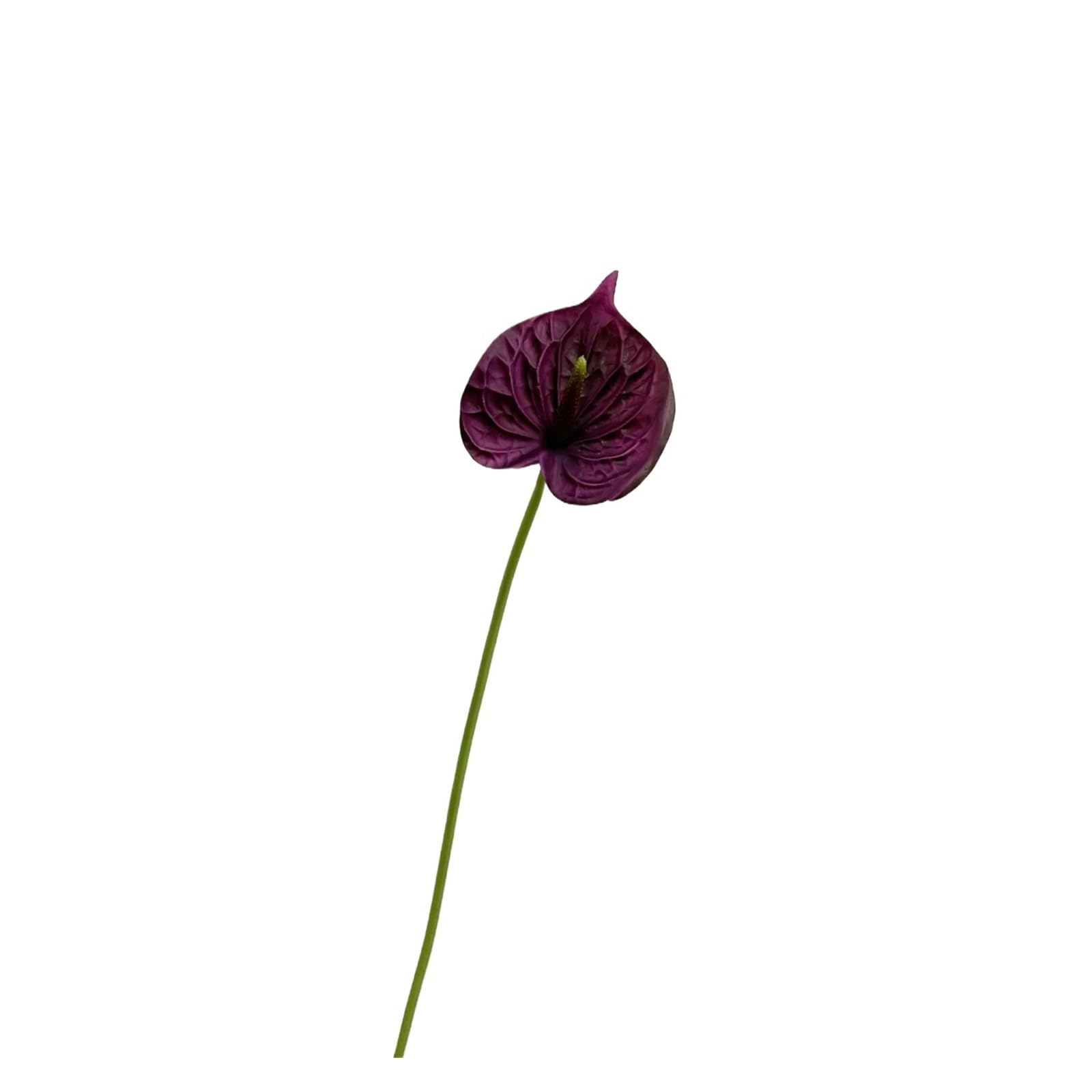 Casetlong 10Pcs Artificial Flowers Home Decoration Wedding Decor Bouquet Party Flower Arrangement Photography Props(Purple)