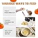 PAWUP Freeze Dried Cat & Dog Treats, Natural Quail Egg Yolk, High Fiber Pumpkin Added, High-Protein Pet Snacks for Coat & Gut Health, 3.5 oz