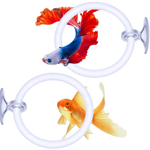 Styquenzer 2 Pcs Beta Fish Aquariums Accessories, Betta Ring Enrichment Toys Fish Feeding Ring Betta Toys for Exercise Training