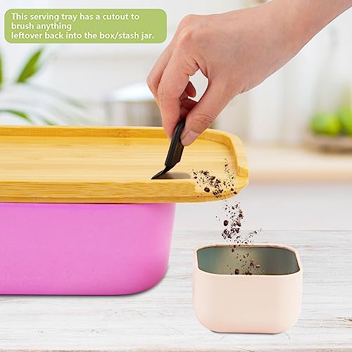 Storage Box With Tray #TOP4