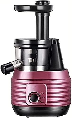Extractor de Jugos Prensado Frío con Función Reversa y Motor Silencioso