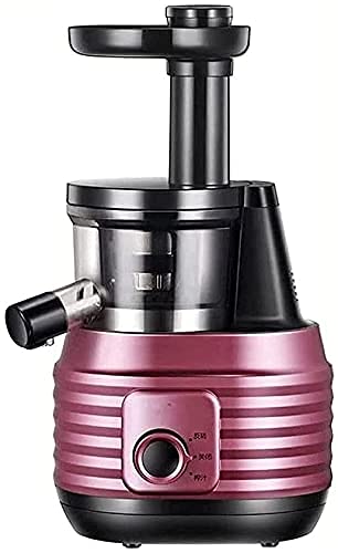 ERoomQ Juicer Machine,Slow Masticating Juicer Extractor with Reverse Function Cold Press Juicer Machine with Quiet Motor Household Squeezing High-Yield Juice