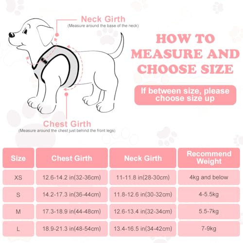 OFFCUP Hundegeschirr Leine Set für Hunde & Katzen Atmungsaktive Step-In Geschirr aus Mesh mit gepolsterter Weste Anti Zug Reflektierend Verstellbar Weich Welpengeschirr Katzengeschirr, Rosa, XS