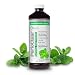 PerioClear Organic Alcohol Free Mouthwash 16oz