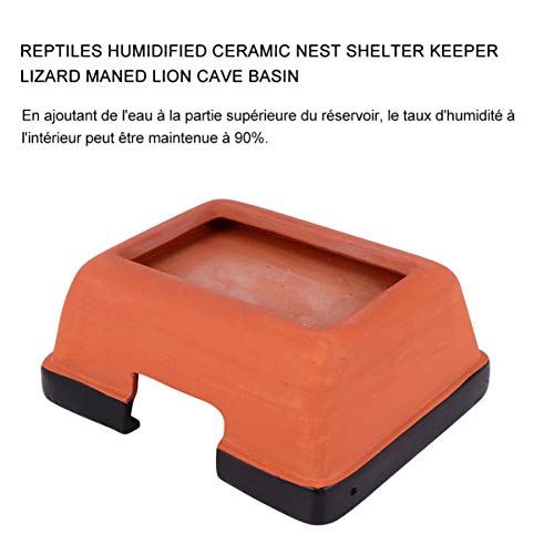 UKCOCO RÃ©ptil Esconder Caixa Humidificado Habitat DecoraÃ§Ã£o TerrÃ¡rio DecoraÃ§Ã£o para Lagartixas
