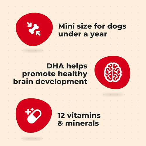 Image of Milk-Bone Original Biscuits Dog Treats for Puppies, 6 Boxes | 16-oz. boxes, 250+ puppy treats per box, Mini size, Training treats, Made with DHA to help promote healthy brain development