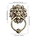 WeiLaiKeQi Lion Head Door Knocker, Decorative Front Door Knocker, Retro Door Pull Handle, Gate Knocker for Cupboard Wardrobe Closet, Style C