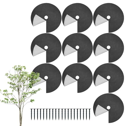 ؗp}`O,K[f؃}`OیJo[ nʓBt - oAJo[,K[fEhXP[vE[hE[Et[xbhEtFXEt@[EobN[hp