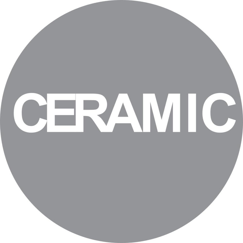 LEMAN Boite de 10 disques à lamelles céramique bord arrondi Expert. ø 125 Grain 60 Alésage 22,23mm Bombé - Disque, plateau et abrasif