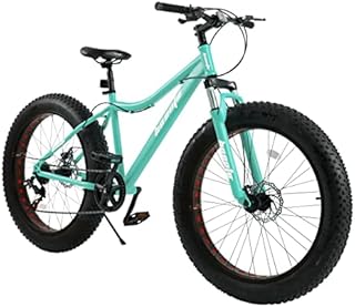 hosote Fat Tire Mountain Bikes for Mens, 26 inch 7 Speed Wheels Double Disc Brake Snow Bike Beach Bike, High-Tensile Carbon Steel Frame