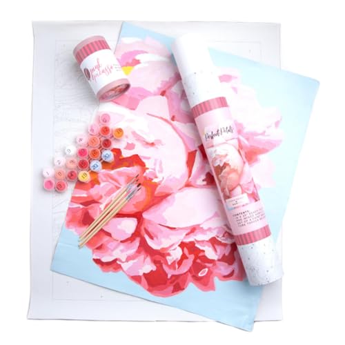Pink Picasso Kits Botanical Floral Paint by Number for Adults