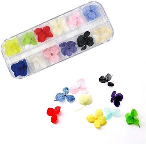 N.E.I Natural Real Dried Flowers 3D Nail Art/Scrapbook Decoration (12 colors) ASSORTED COLOR (Hydra + Snow (12))