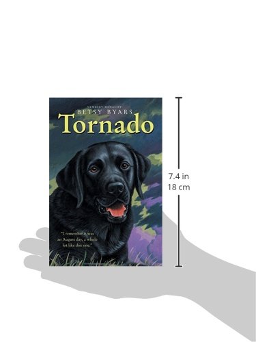 Harpercollins 9780064420631 Tornado (Trophy Chapter Book) thumb #4